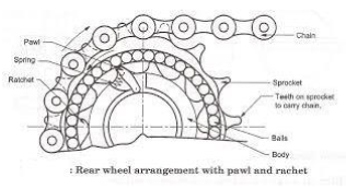 free wheel sprocket